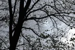 IMG_4590_sk.webp
