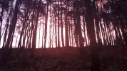 20191119_065706.webp