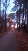 20191119_065715.webp