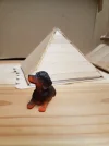 20191122_174314.webp