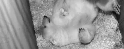upload_2019-11-26_19-46-18.webp