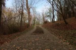 IMG_4784.webp
