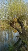 03.webp