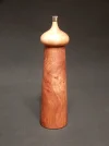 DSCN2253.webp