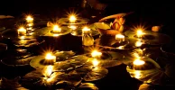 contest_submission-submissionImage-17624.webp