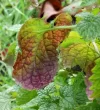 _20191129_102218.webp