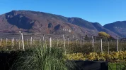 20191130_134107.webp
