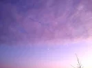 IMG_20191204_074349.webp