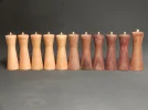 DSCN2268.webp