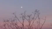DSC_0444.webp