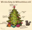 IMG-20191208-WA0007.webp
