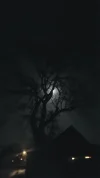 20191209_181157.webp