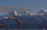 DSC00050.webp