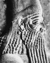 könig von babylon.webp