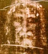 svepe.webp