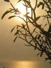 Vietnam_807.webp