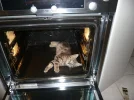 009.webp