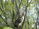 001.webp