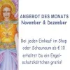 banner_angebotdesmonats_nov10_sbp.jpg