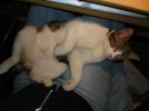 DSC00050.webp