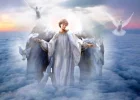 9038508[1].webp