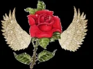 l_988c349759c74b3e8e6bc5ce491bcb76[1].webp