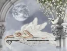 Schoenen-Abend-und-eine-gute-Nacht[1].webp