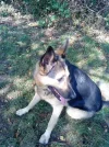 DSC00100.webp