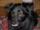 DSCN0163.webp