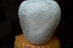 IM001495.webp