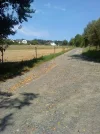 DSC00097.webp
