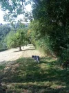 DSC00099.webp
