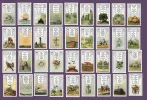 lenormand.JPG