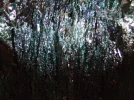DSCF0338.webp