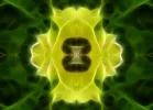 bilsenkrautmandala1.webp