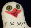 polls_O_RLY__Y_SO_SRS__by_Areyu_5643_652803_answer_7_xlarge.webp