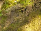 Juni 2010 (13).webp