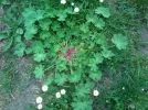 cache_0000012fab1fea634c.webp