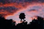 eyeinthesky.webp