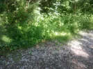 Bilder 21.05.11 177.webp