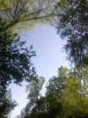 Bilder 21.05.11 186.webp