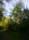 Bilder 21.05.11 202.webp