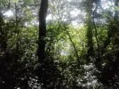 P180511_18.15_[01].webp
