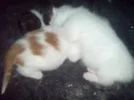 DSC00208.webp