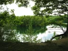 xx2.webp