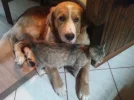 baby 3 034.webp