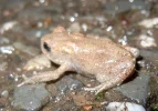 Bild 955.webp