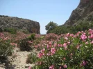 IMG_0958 (2).webp