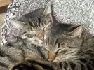 Bis 06.03.2011 165.webp