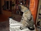 Bis 09.04.2011 005.webp